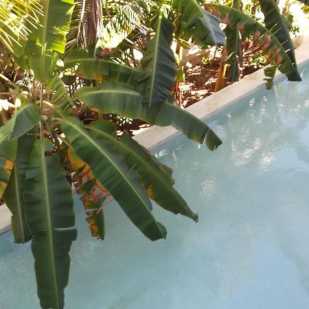 Kobe House Bed & Breakfast Jambiani  Ngoại thất bức ảnh