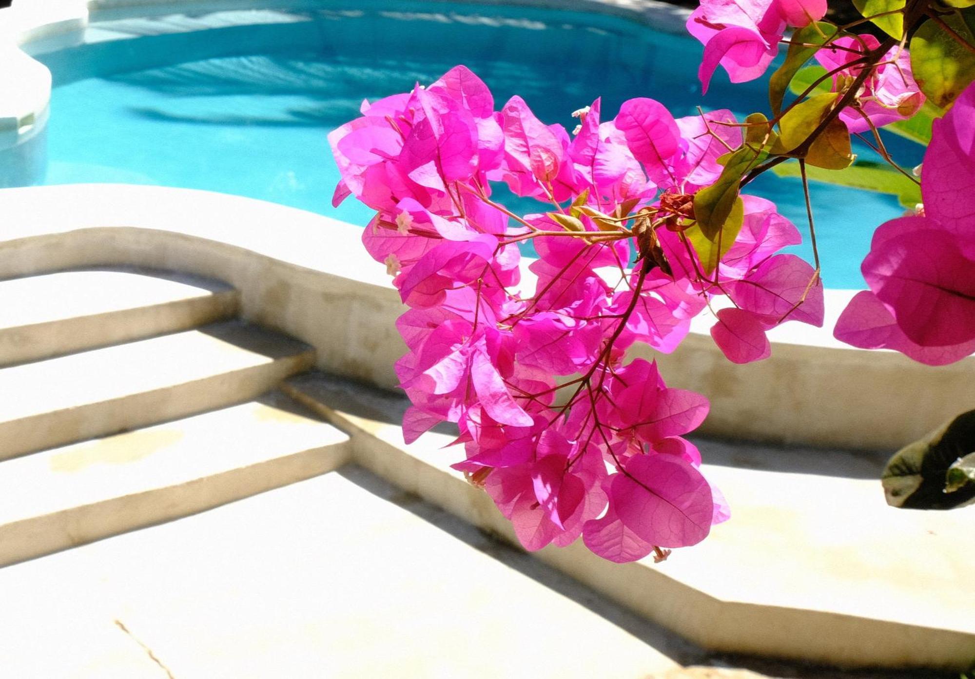 Kobe House Bed & Breakfast Jambiani  Ngoại thất bức ảnh