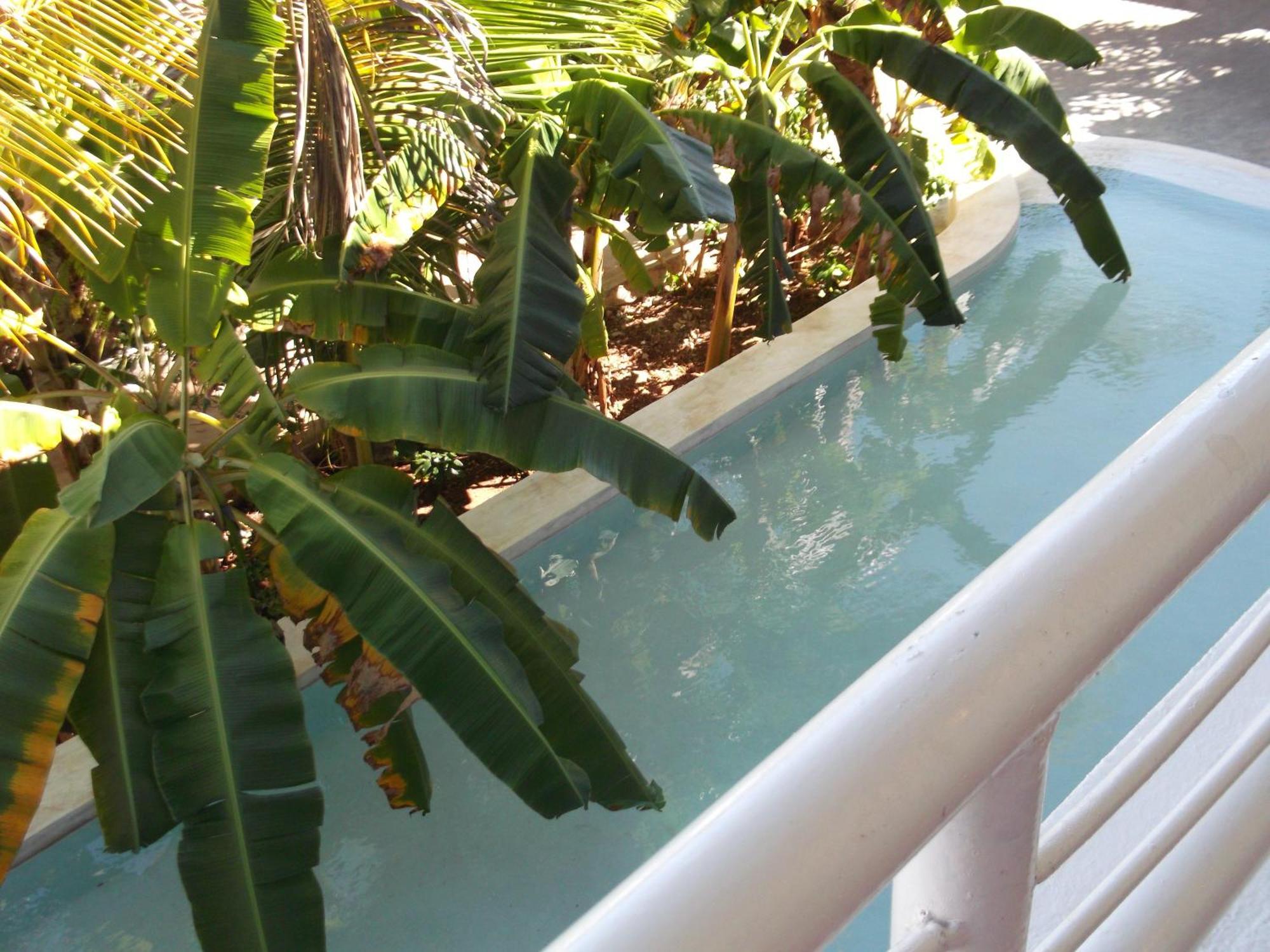 Kobe House Bed & Breakfast Jambiani  Phòng bức ảnh